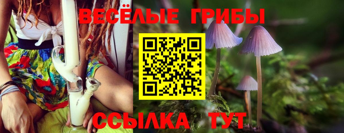 Алексеевка  Псилоцибиновые грибы Cubensis  Вход с VPN 